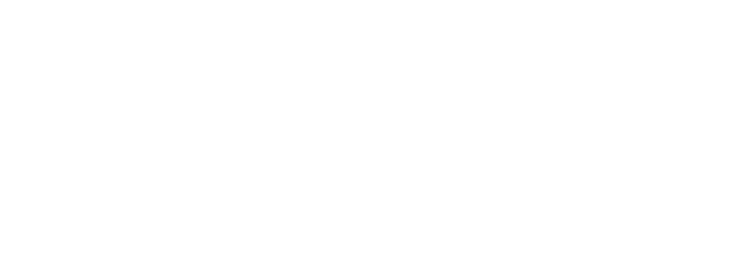sekiz